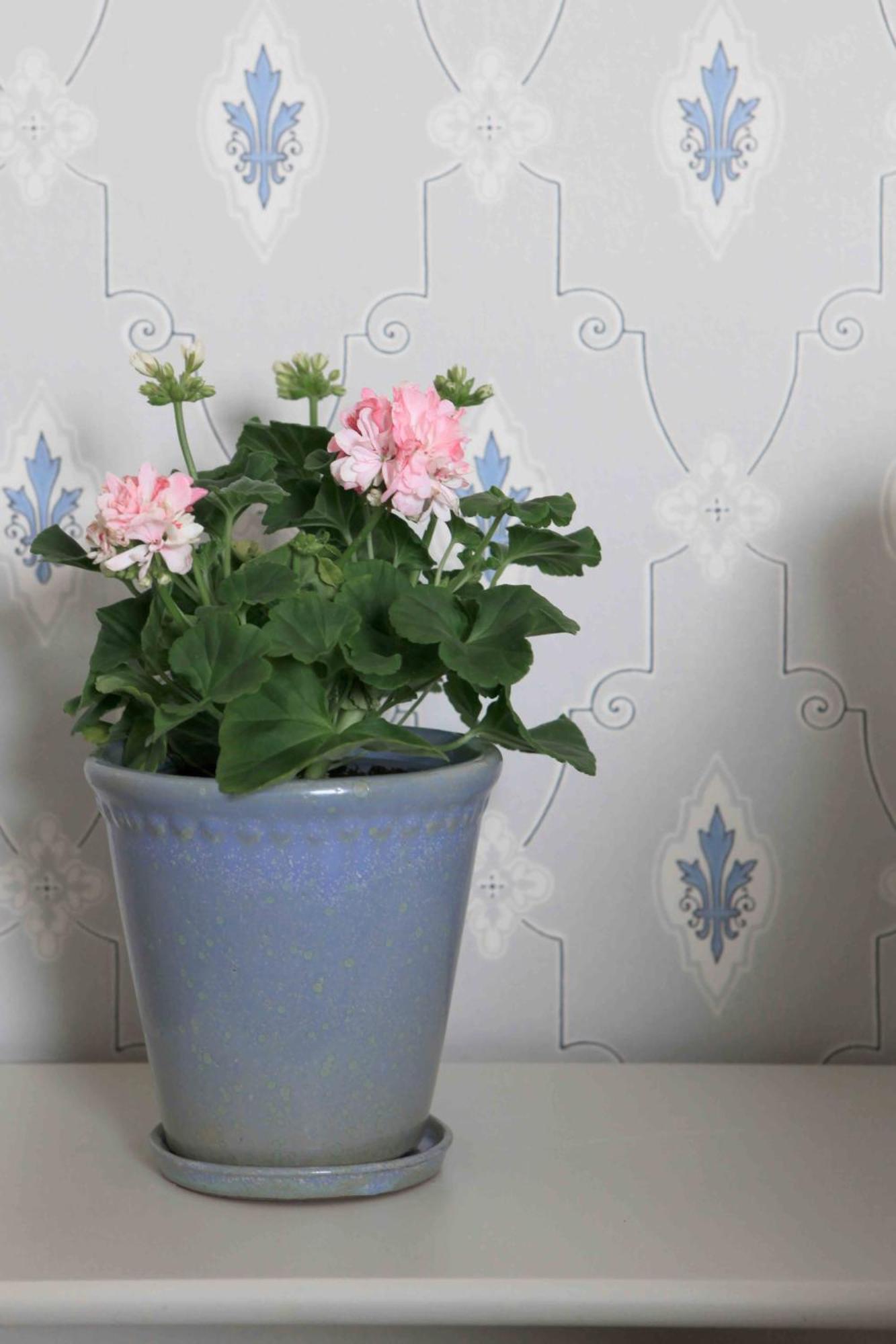 Agda Lund Bed & Breakfast Kivik Dış mekan fotoğraf
