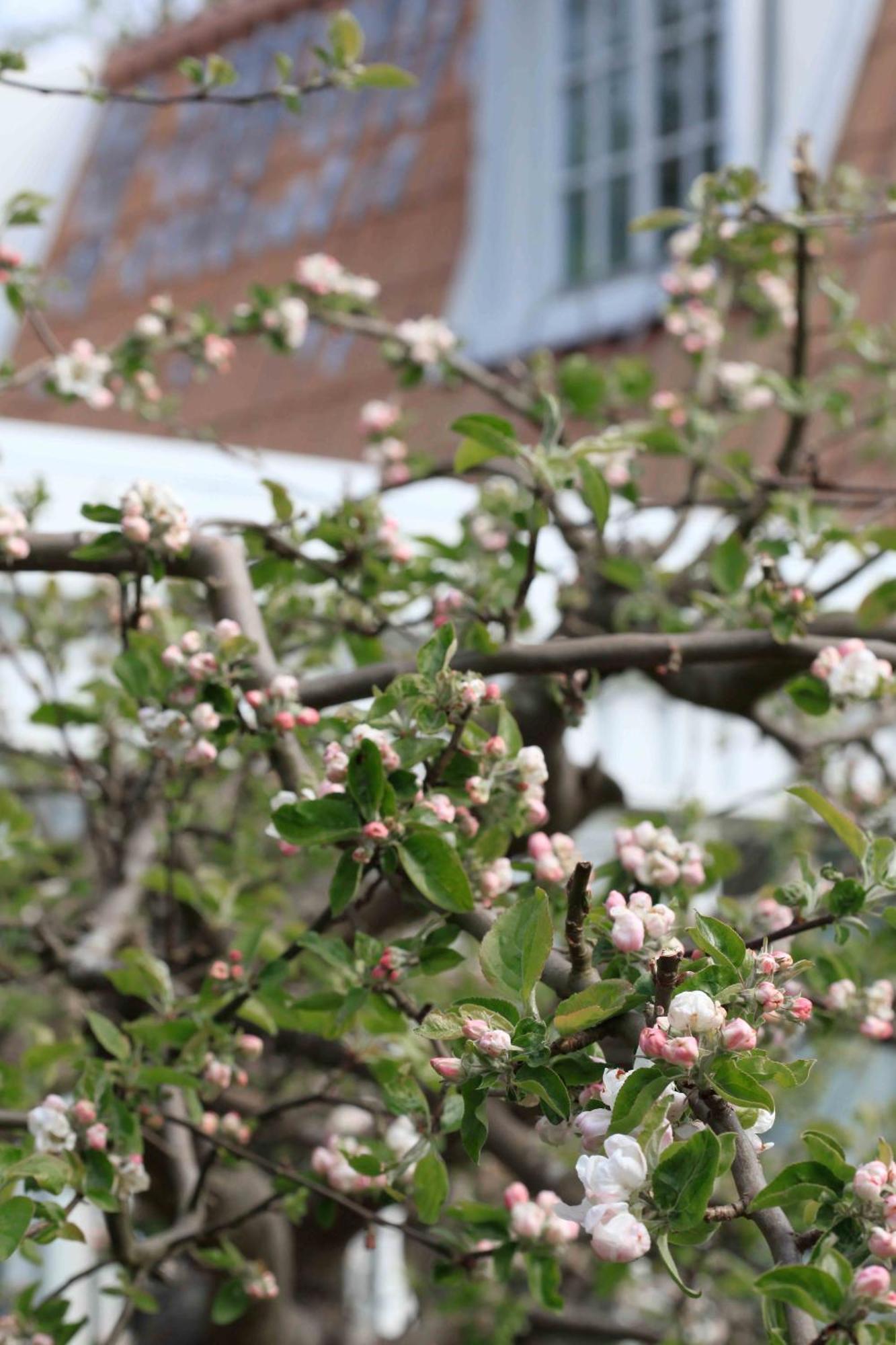 Agda Lund Bed & Breakfast Kivik Dış mekan fotoğraf