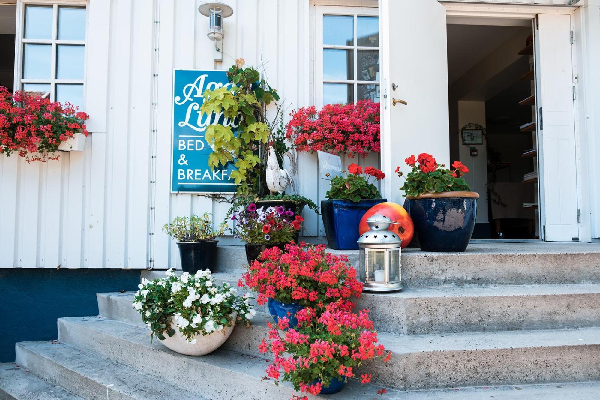 Agda Lund Bed & Breakfast Kivik Dış mekan fotoğraf